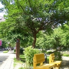 護城河親水公園