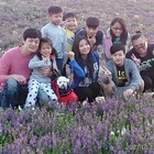 驚艷關渡花現新大地 2017關渡花海節