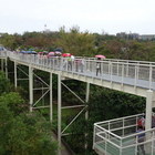 彰化八卦山天空步道