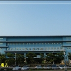 哈魚碼頭觀光魚市