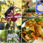 心田森活渡假農園