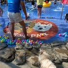 森。呼吸Jorona Park