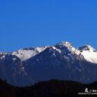 觀霧國家森林遊樂區