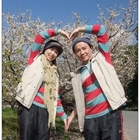 梅子的故鄉信義鄉