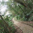 栳寮古道-更寮古道親山步道