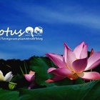 雙溪上林里荷花田