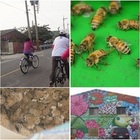 口湖成龍集會所