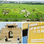 2016屏東彩稻生活節