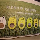 中興糓堡稻米博物館