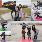 可愛逗趣南科管理局台灣犬