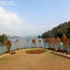 日月潭環湖自行車道