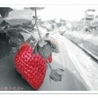 幸福菓子草莓園