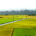 東里車站(Dong-Li Station)