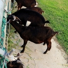 大台北都會公園-親水廣場