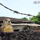 藝術聚落公園路321巷