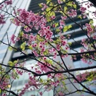 新驛旅店(台北車站二館)