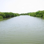 四草台江觀光船