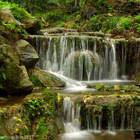 豐林社區鹽水頭