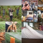 和明織品文化館