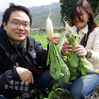 鹿野觀光草莓園