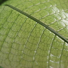 新生公園區-未來館