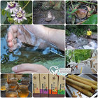 永安玉龍泉步道