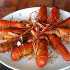 小雨蛙生態民宿