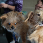 青洲濱海遊憩區