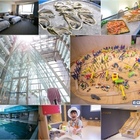 桃禧航空城酒店