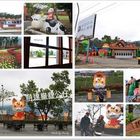 貓貍影城桐花樂園