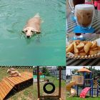 走吧！走 兜兜風寵物莊園