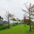 蘭城花事休閒農場