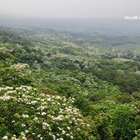 銅鑼九湖自行車道天空觀景台