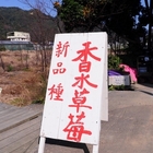 大湖草莓觀光休閒農場