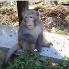 豐柏觀光健行步道