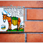 睫毛不翹的驢子