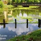 盧家公園大村生態池