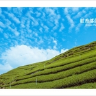 清境景點-紅香部落