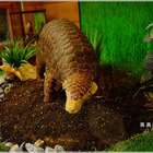 美崙山生態公園