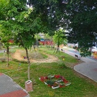 錦平社區低碳公園