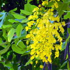 南港東新綠地小公園