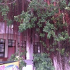 台南市西門國民小學