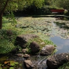 三星鄉柯林自然湧泉園區