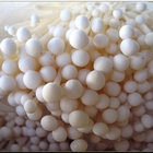 台灣菇類文化館暨農村文物館