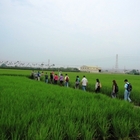 劍門生態花果園