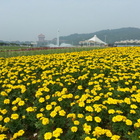 基隆河自行車道