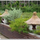 雙潭休閒農業區花圃