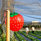 虹妤草莓觀光果緣