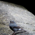 茂林情人谷瀑布