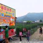 美濃蕃茄世界觀光果園